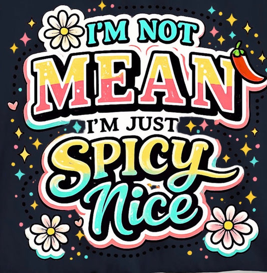 I’m not mean I’m spicy nice