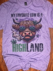 My Favorite Cow is a Highland T-Shirt